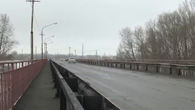 В Агаповский район прилетели лебеди смотреть онлайн