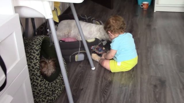 Vlog : День с реборном Лиамом