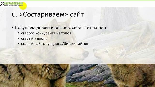 Состаривание молодого сайта. 7 принципов продвижения молодых сайтов - часть 6. смотреть онлайн