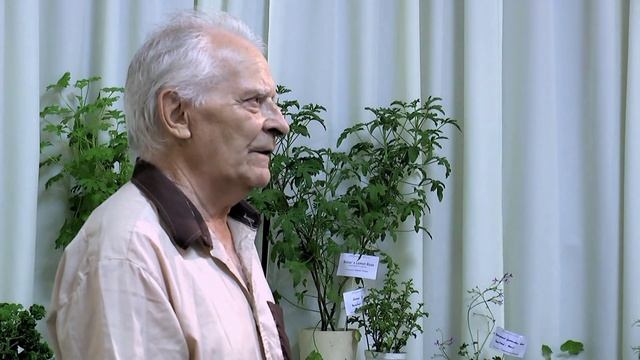 Выступление Виктора Ивановича смотреть онлайн