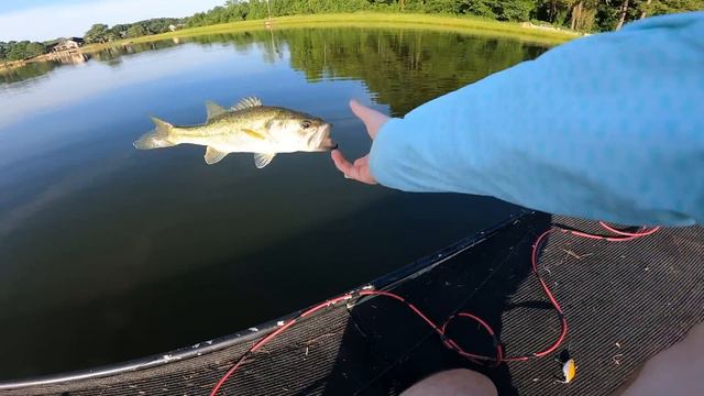 I Bought EVERY Fishing Kit From TEMU (What's Inside?) смотреть онлайн