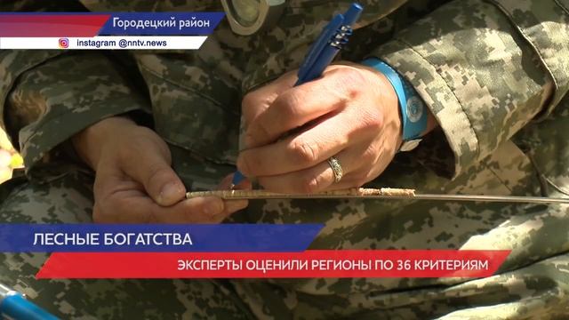 Нижегородская область - эффективный регион по использованию лесных ресурсов смотреть онлайн