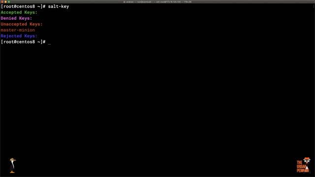 Howto Install Salt Open on CentOS 8 and Ubuntu 18.04 смотреть онлайн