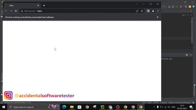Selenium tutorial with Python Hindi #34 - Cookies смотреть онлайн