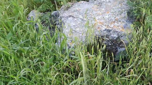 Изучаем древние архитектурные сооружения с Ларисой и кошкой Маруськой в Гиват аМоре. Афула, Израиль смотреть онлайн