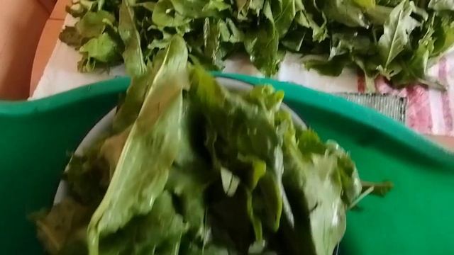 Как я заготавливаю щавель смотреть онлайн
