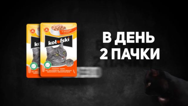 Blackcatcard. Валютная карта и крипто кошелёк.