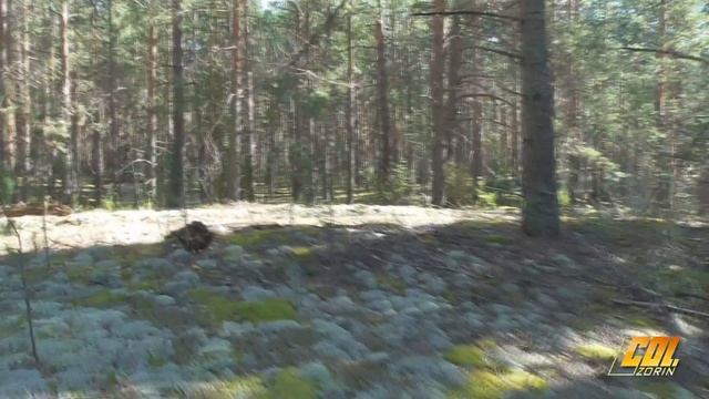 Ботинки Garsing RUSH Oliva - Три сезона в строю. смотреть онлайн