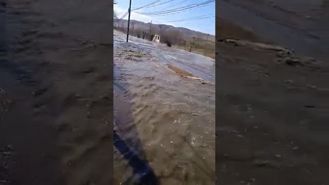 [Чита в курсе] Ручей побежал по улицам Сретенска смотреть онлайн