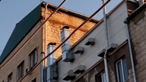 5 причин уехать из Волгограда