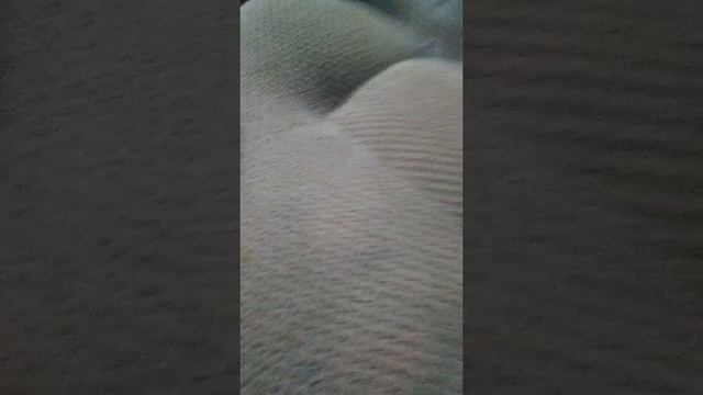 Будем делать палку 1 часть смотреть онлайн