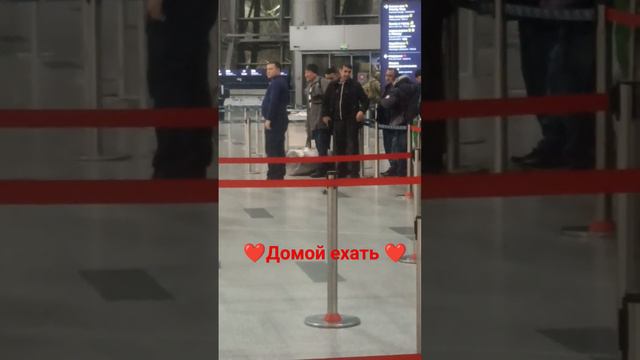 Аэропорт Внуково смотреть онлайн
