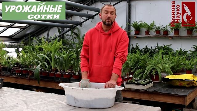 Обеззараживание грунта для рассады: нюансы, ошибки и рекомендации. Как же оставить грунт живым? смотреть онлайн