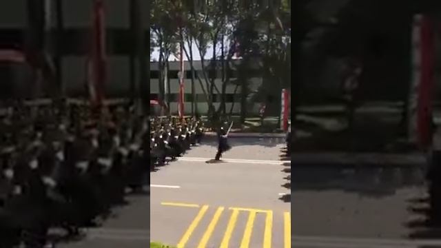 Heroico Colegio Militar (Paso Veloz) смотреть онлайн