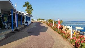 Обзор пляжа Sunrise Remal Resort, набережная Шарм эль Шейх. Sunrise Remal Resort Beach Review.