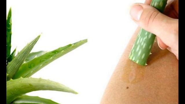 Алоэ Вера.Суперувлажняющий ингредиент с противовоспалительными свойствами. Всё о наружном применени