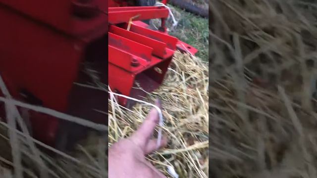 Немецкий вязальный на Киргистан смотреть онлайн
