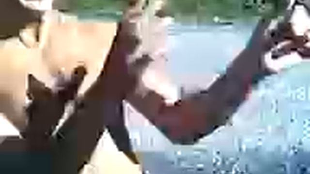 Засос.3gp смотреть онлайн