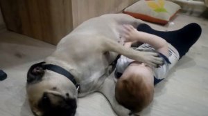 Как кадебо относится к детям