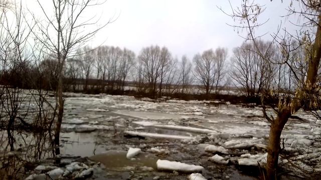Половодье смотреть онлайн