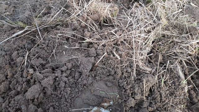 Нашли немецкий самолет времен ВОв. Часть 3 смотреть онлайн