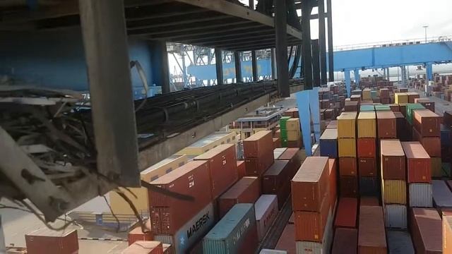 птенцы ворона на кране смотреть онлайн