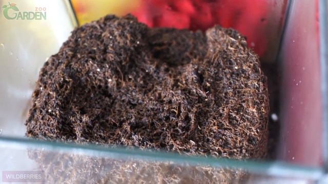 Почвобрикет Пальма 2,5л круглый смотреть онлайн