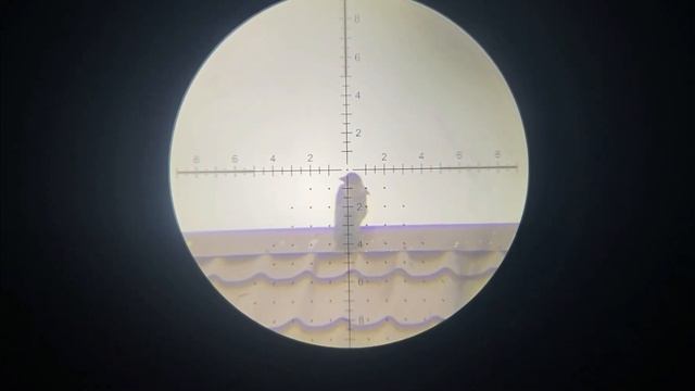 Отпуск начинается. Охота на Ворону Кроухантинг. Crow Hunting 2023.# 14 смотреть онлайн