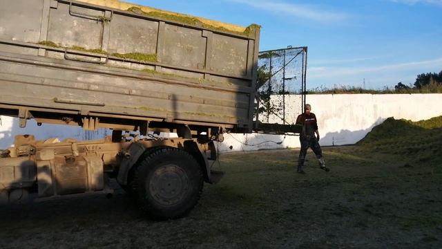"Первый Белорусский".Автомобиль МАЗ.Выгрузка силоса!!!?? смотреть онлайн