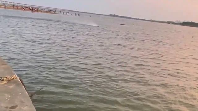 UDI UDI022 Tylosaurus RC Boat Brushless Speedboat LED Lights Reverse Water Cooling System Model Toy