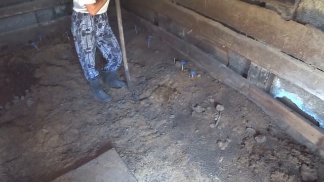 ВСЕ СВИНЬИ ПЕРЕЕХАЛИ В НОВЫЙ САРАЙ смотреть онлайн