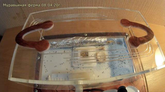 Муравьиная ферма ч.2 смотреть онлайн