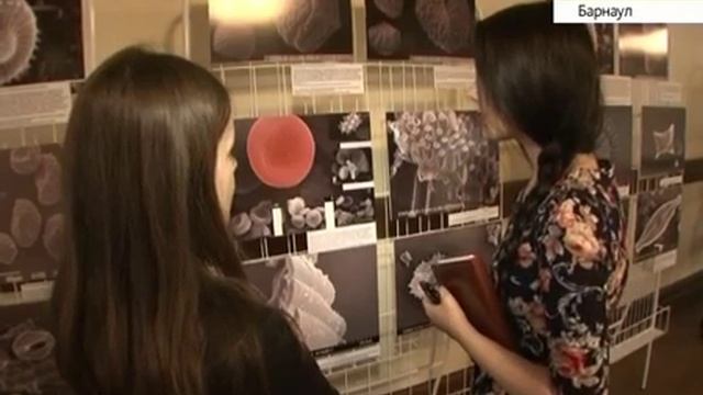 В АлтГУ можно посмотреть выставку фотографий, сделанных с помощью микроскопа смотреть онлайн