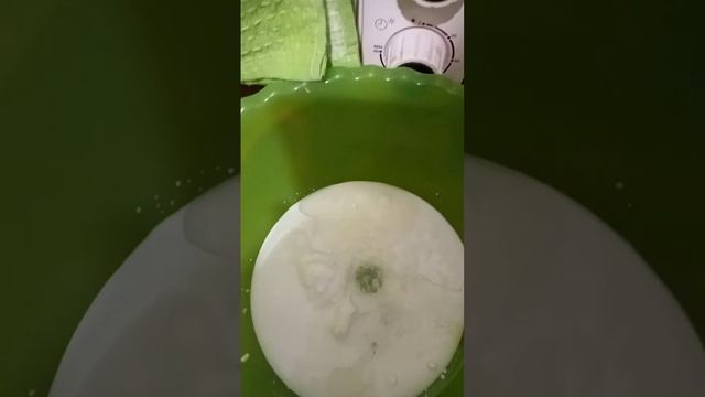 готовим тесто . сметана 1 ст ложка  молока 1 стакан и  полстакана воды масло растительное 50_60гр