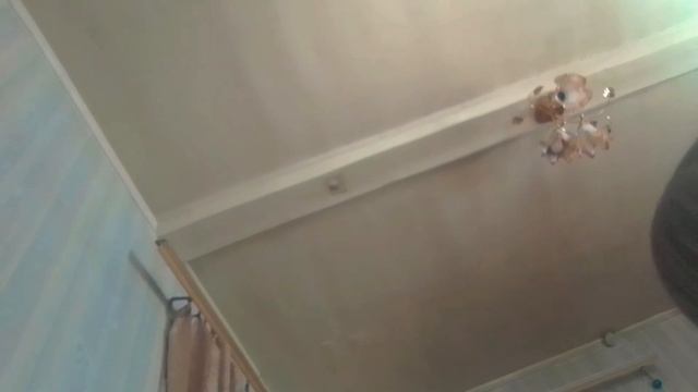 Рисунки животных смотреть онлайн