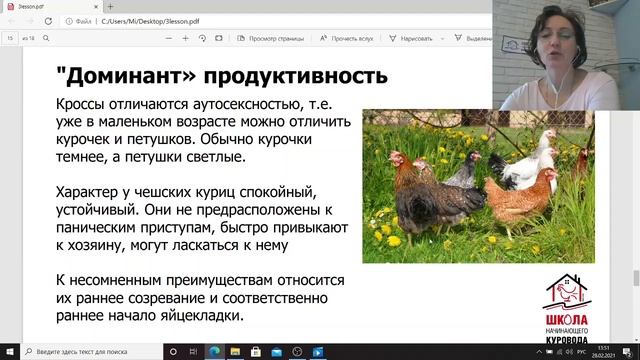 Лучшие яичные породы кур. Мясо яичные породы. Леггорн, Доминант или Пушкинская? Школа куровода. смотреть онлайн