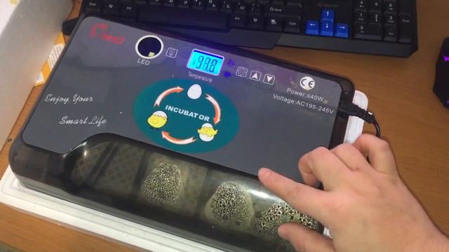 Что делать с треснувшим яйцом, инкубатор, новости от ожереловых попугаев. смотреть онлайн