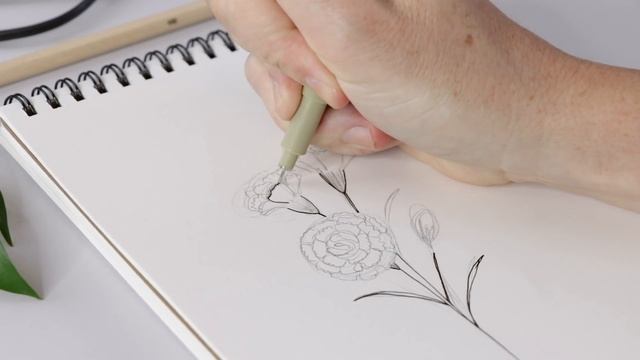 How To Draw Carnations | Floral Illustration смотреть онлайн