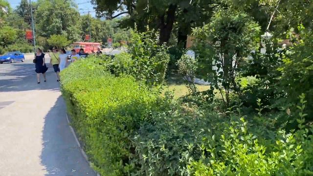 eTourist visit Europe Bosnia & Herzegovina Sarajevo - Ali Pasha's Mosque in city center downtown смотреть онлайн