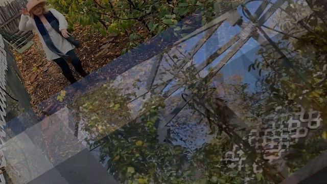 Return of the Happy Dance | The Git Go 11-5-21 смотреть онлайн