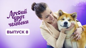 Лучший друг человека, 8 выпуск