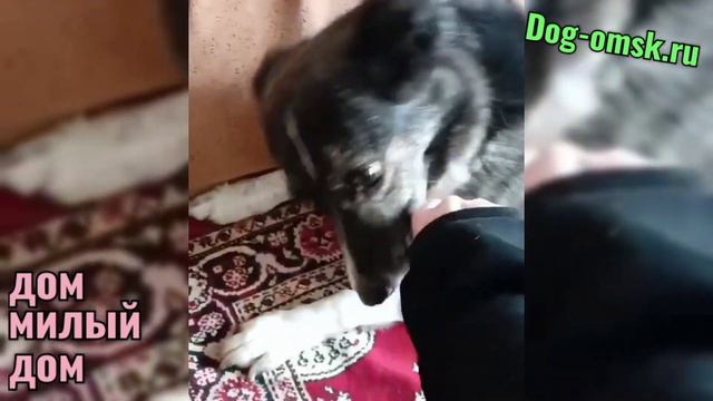 Привет от ФЛАФИ. смотреть онлайн