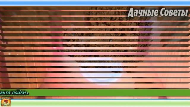 Насыпьте ЭТО и Уличный ТУАЛЕТ больше не будет вонять ЦЕЛЫЙ ГОД Необычные Дачные хитрости и советы смотреть онлайн