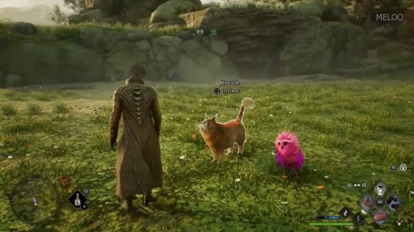 Hogwarts Legacy - All Magical Beasts & Mounts