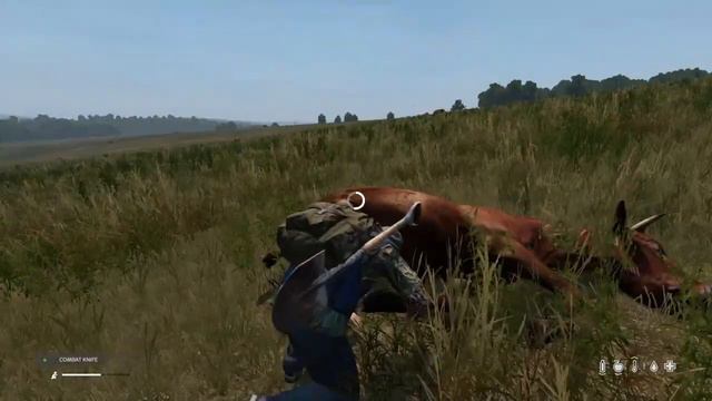 How/ Where To Find Animals In DayZ + Hunting Tips (DayZ Ps4 1.07) смотреть онлайн