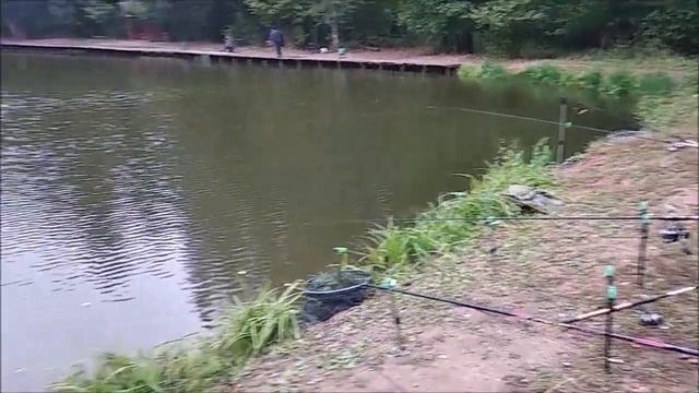 Дневные поимки осетра. Клёвое место, лосиный остров, нижний водоём. смотреть онлайн