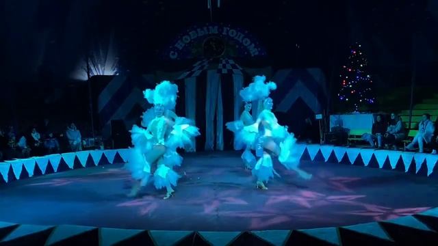 Бразильский карнавал в цирке #шоубалетростов #шоубалетсозвездие