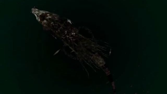 nVidia Demo : Creature : GeForce 8600M GT смотреть онлайн