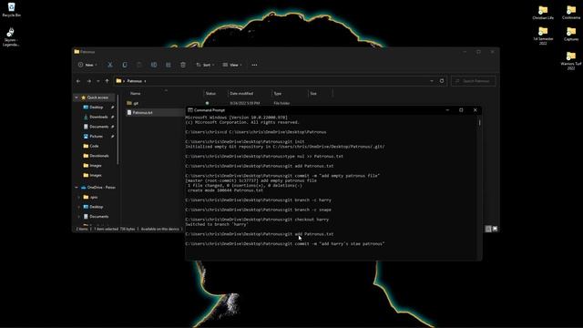 GIT - Branching Exerice - Regacho [CS 3105] смотреть онлайн