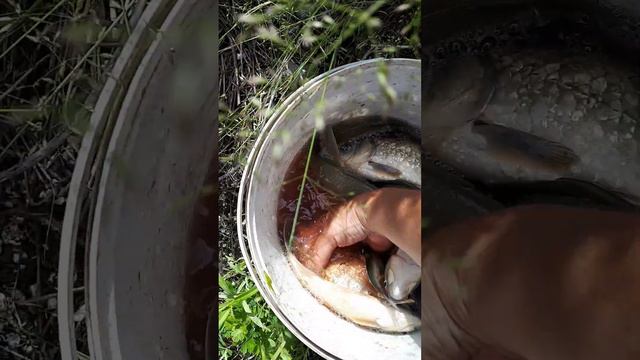 28 июня 2023 г. смотреть онлайн